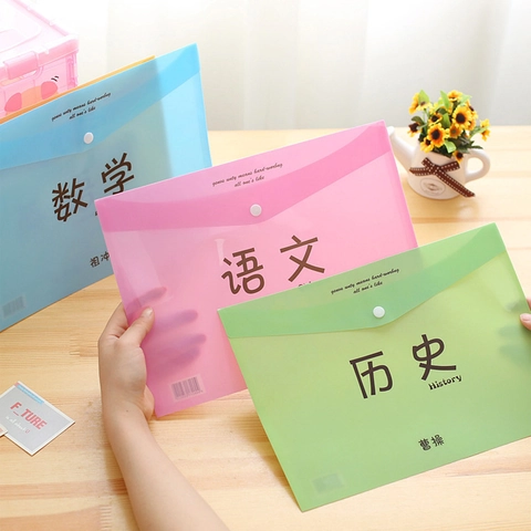 Subject Document Folder A4 Translucent PP Plastic Snap Button File Organizer Storage Bag Student Stationery Office