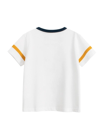 Camiseta De Niño Manga Corta Algodón Dibujos Animados Dinosaurio Impresión Color Contraste Cuello Redondo Tops De Verano