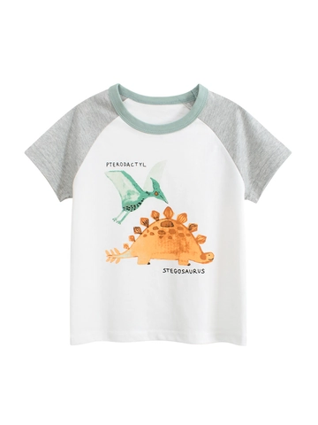 Kids Boys Short Sleeve Raglan T-Shirt Cotton Cartoon Dinosaur Print Summer Casual Round Neck Patchwork Top