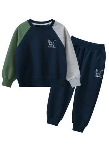 Kids Boys Dinosaur Skeleton Printed Sweatshirt And Pants Contrast Raglan Sleeve Cotton Blend Fleece Autumn Winter Sporty Outfits