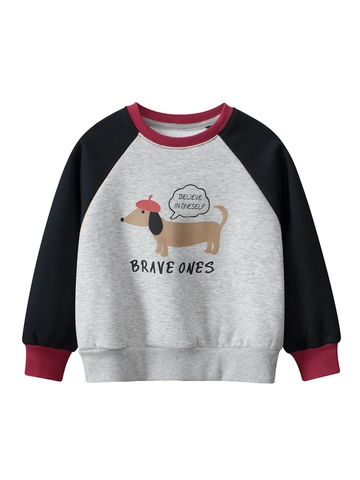 Boys Casual Sweatshirt Fleece Lined Winter Pullover Cartoon Dachshund Print Color Block Raglan Sleeve Kids Warm Top