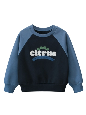 Boys Raglan Sleeve Fleece Sweatshirt Kids Citrus Letter Embroidery Pullover Casual Patchwork Winter Warm Cotton Blend Top