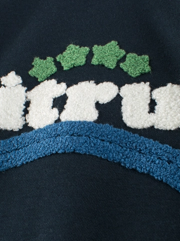 Boys Raglan Sleeve Fleece Sweatshirt Kids Citrus Letter Embroidery Pullover Casual Patchwork Winter Warm Cotton Blend Top