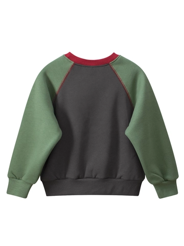 Sudadera Para Niños Forro Polar Manga Raglán Bloque De Color Estampado Letras Casual Mezcla Algodón Jersey Tops Infantiles