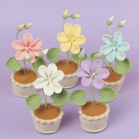 Handgefertigte Gehäkelte Topfblume Gestrickte Garn Kunstpflanze Desktop Dekoration Ölfirnisbaum Blüte Geschenk