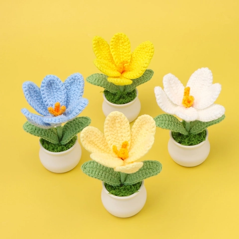 Gehäkelte Tulpe Topfpflanze Handgestrickte Garn Künstliche Blumen Ornament Haus Büro Desktop Dekoration Süßes Geschenk