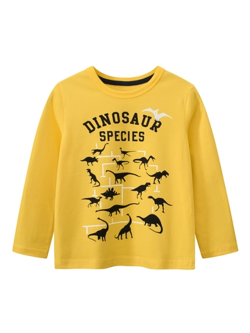 Maglietta A Maniche Lunghe Ragazzi Ragazze Puro Cotone Pettinato Stampa Dinosauro Cartone Animato Girocollo Casual Autunno