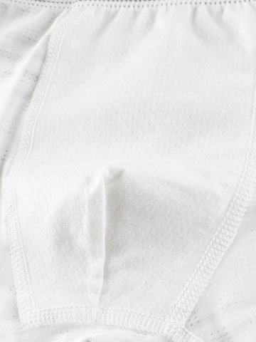 Boys Boxer Briefs Breathable Mesh Cellulose Fiber Cooling Antibacterial Elastic Waistband Cartoon Print Underwear