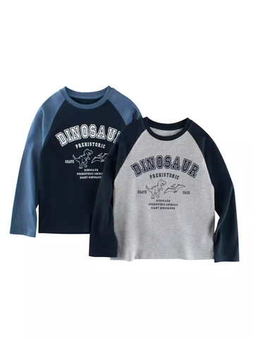 T-Shirt Manica Lunga Ragazzo Cotone Maniche Raglan Stampa Dinosauro Girocollo Top Casual Per Bambini E Adolescenti