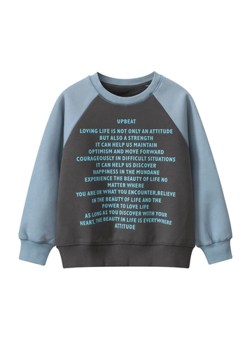 Kids Casual Color Block Raglan Sleeve Fleece Lined Sweatshirt Boys Girls Crew Neck Letter Printed Warm Autumn Winter Top