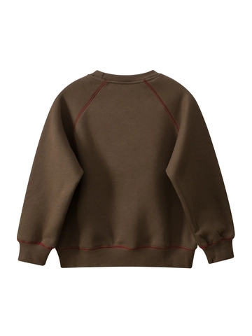 Felpa da Ragazzo in Pile Misto Cotone Stile Coreano Manica Lunga Raglan Top Ricamo Cucciolo Caffè Abbigliamento Invernale