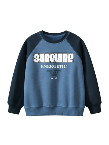 Felpa da Ragazzo alla Moda Foderata in Pile Casual Stampa Lettere Blocchi di Colore Maniche Raglan Pullover Inverno Bambini Top
