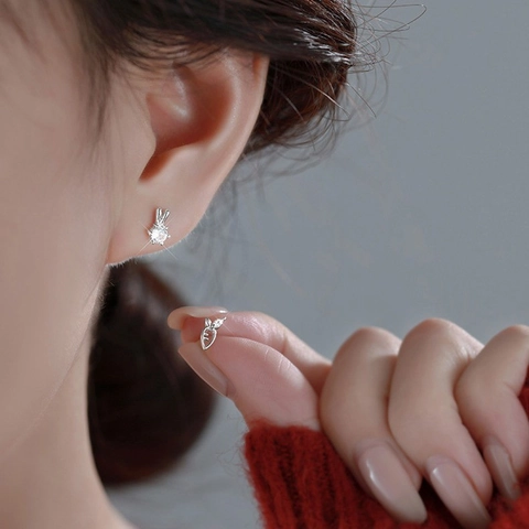 Orecchini A Lobo Asimmetrici Con Coniglio E Carota Con Perno In Argento Sterling 925 Rame Zirconia Gioielli Per Donne