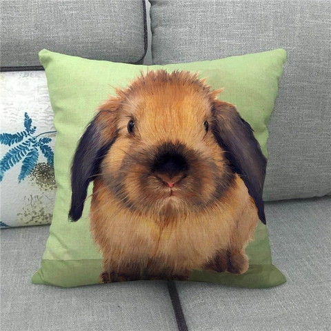 Funda de Almohada de Lino de Felice Pasqua Copricuscino Decorativo Con Stampa Artistica Coniglio Uovo per Divano Soggiorno