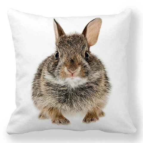 Happy Easter Bunny Peach Skin Decorative Pillow Case Square Cushion Cover For Sofa Living Room Home Decor Festive Print