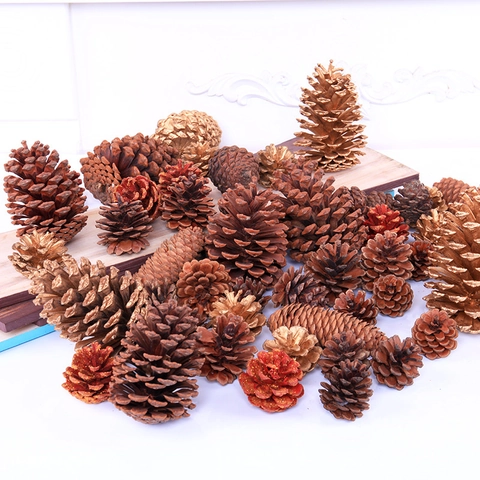 Natural Wood Pine Cones For Christmas Decoration DIY Craft Accessories Rustic Pinecones For Home Photography Props Ornaments
