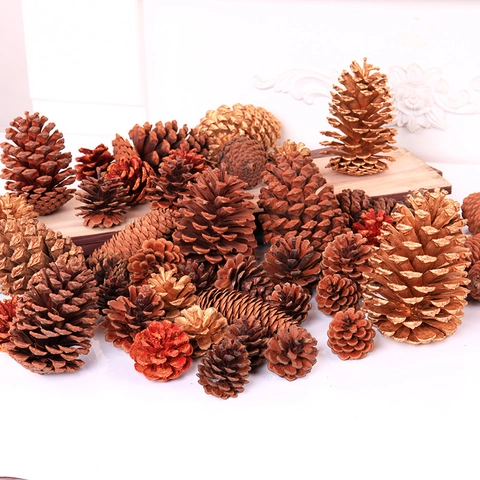 Natural Wood Pine Cones For Christmas Decoration DIY Craft Accessories Rustic Pinecones For Home Photography Props Ornaments