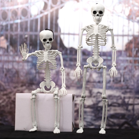 Scheletro Halloween Articolazioni Posizionabili Corpo Completo Ossa Umane Decorazione Plastica Oggetto Scena Casa Stregata