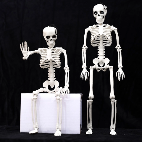 Scheletro Halloween Articolazioni Posizionabili Corpo Completo Ossa Umane Decorazione Plastica Oggetto Scena Casa Stregata