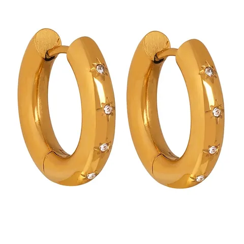 Oorringen Titaniumstaal 18k Verguld Stergravure Zirkonia Chique Mode Geometrische Sieraden Voor Vrouwen