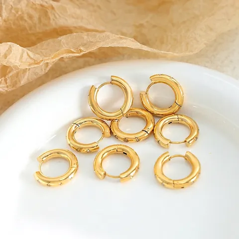 Oorringen Titaniumstaal 18k Verguld Stergravure Zirkonia Chique Mode Geometrische Sieraden Voor Vrouwen