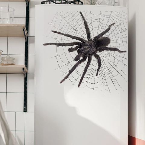 Adesivo Da Parete Ragno E Ragnatela 3D Realistico PVC Autoadesivo Decorazione Per Festa Di Halloween Novità