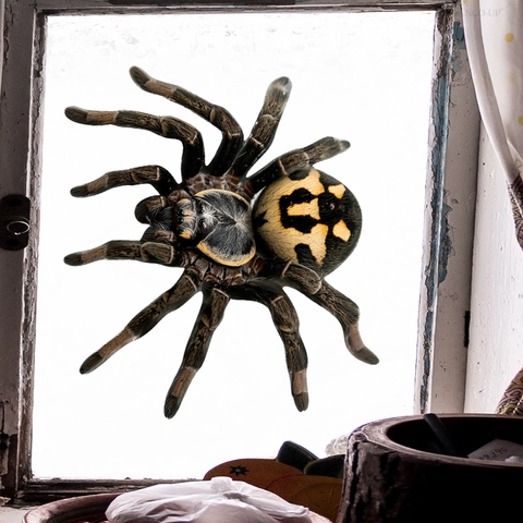 3D Ragno Realistico Adesivo da Parete PVC Visibile su Entrambi i Lati Vetro Finestra Impermeabile DIY Halloween Decorazione