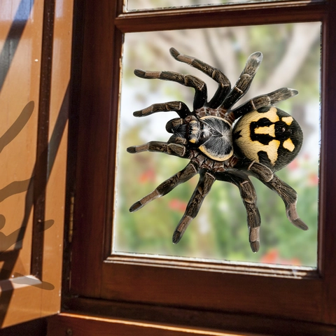 3D Ragno Realistico Adesivo da Parete PVC Visibile su Entrambi i Lati Vetro Finestra Impermeabile DIY Halloween Decorazione