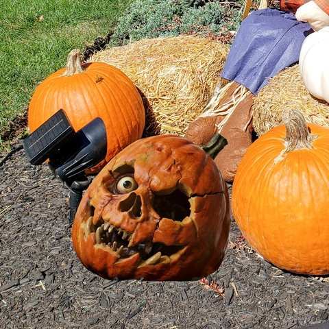 Halloween Scary Skull Pumpkin Garden Stake Waterproof 2D PVC Ground Insert Yard Decoration For Outdoor Halloween Party Supplies