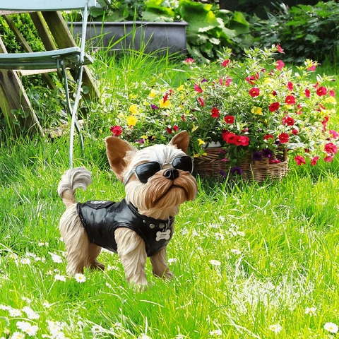 Estaca de Jardín Yorkshire Terrier de PVC Cartel de Perro Con Gafas de Sol Chaqueta de Cuero Decoración de Césped