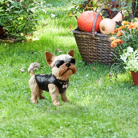 Estaca de Jardín Yorkshire Terrier de PVC Cartel de Perro Con Gafas de Sol Chaqueta de Cuero Decoración de Césped