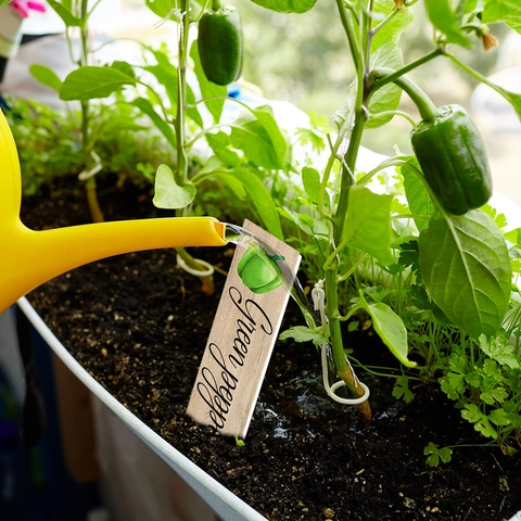Etichette per Piante da Giardino in PVC Indicatori per Verdure Con Aspetto Legno Paletti Impermeabili per Classificazione Verdura