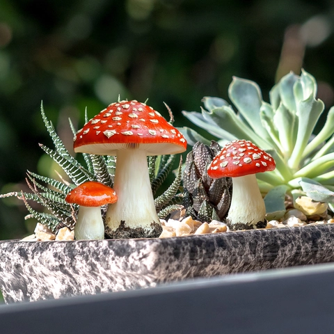 Pilz Gartenstecker PVC Flach Wasserdicht Pflanze Dekorative Stecker Für Outdoor Garten Topf Hof Dekoration Rot Weiß Gepunktet
