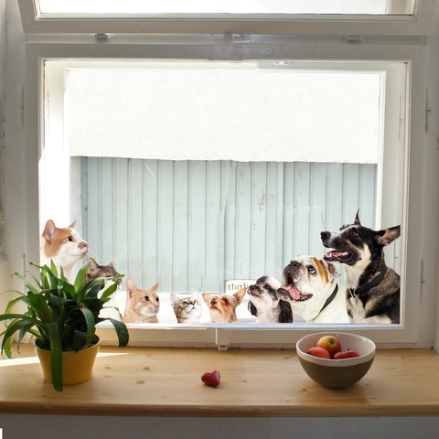 Creative Pet Window Sticker Static Cling Double Sided Visible PVC Cat Dog Pattern Glass Decal For Home Shop Decoration