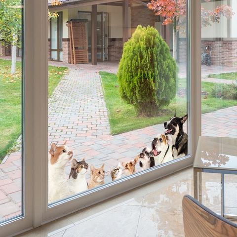 Creative Pet Window Sticker Static Cling Double Sided Visible PVC Cat Dog Pattern Glass Decal For Home Shop Decoration