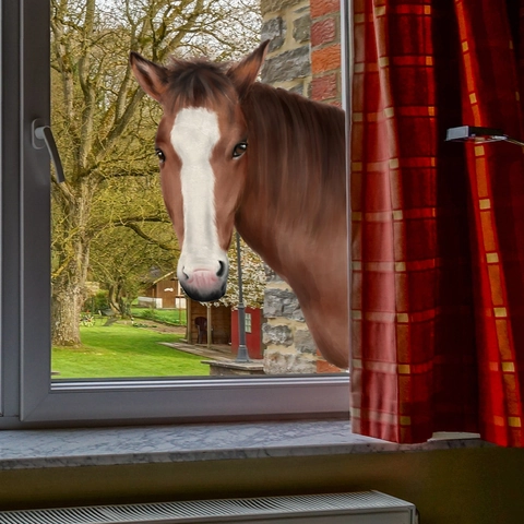 3D Peeking Horse Head Wall Sticker PVC Static Cling Window Decal Waterproof Removable Home Decoration Living Room Bedroom
