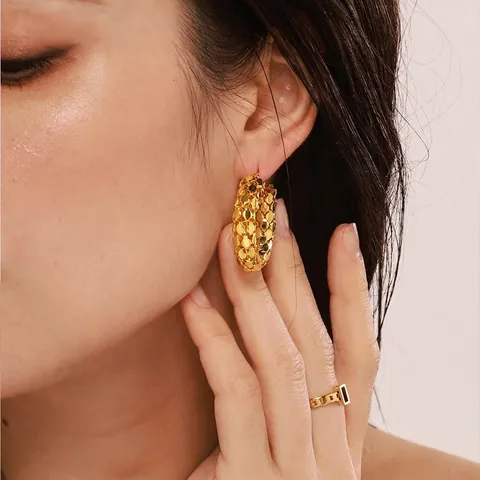 Textured Hoop Earrings Gold Plated Stainless Steel Scaled Pattern Round Ear Rings For Women Fashion Jewelry