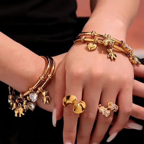 Bracciale Rigido In Acciaio Inossidabile Ciondoli Elefante Cuore Orso Zircone Gioielli Di Moda Per Donna