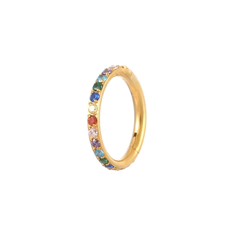 Titanium Clicker Hoop Ohrringe Regenbogen Zirkonia Scharnier Segment Nasenring Lippenpiercing Schmuck