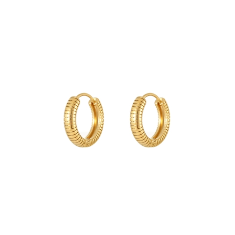 Roestvrijstalen Creolen 18K Verguld Croissant Stijl Minimalistische Elegante Sieraden Voor Dames