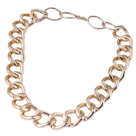 Collana A Catena Barbazzale Lega Di Alluminio Lucido Girocollo Punk Gioielli Di Tendenza Per Donna