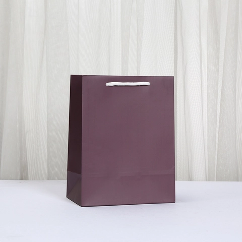 Minimalist Matte White Cardboard Handheld Paper Gift Bag With Cotton Rope Handle Solid Color Packaging Bag For Wedding Party Shopping