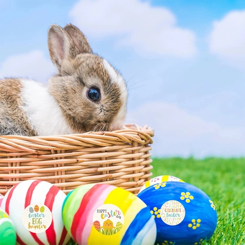 Frohe Ostern Dekorative Runde Aufkleber Cartoon Hase Eier Küken Muster Festival Feier Selbstklebende Etiketten Mehrere Stile
