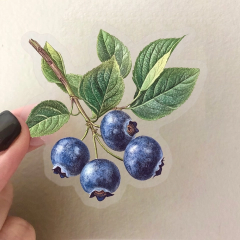 Adesivi in PET con Frutta Botanica Vintage Impermeabili Realistici Decorazione Scrapbooking per Agenda Fai da Te Articoli di Cancelleria