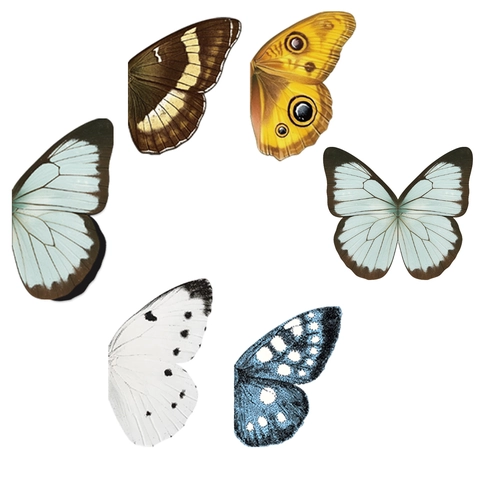 Magnetic Butterfly Bookmarks Set Cartoon Realistic Butterfly Paper Magnet Page Clips For Students Office Reading Accessories