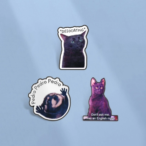 Humoristische Meme Dier Emaille Pins Grappige Zwarte Kat English Major Dissociating Pedro Wasbeer Zinklegering Broches Voor Rugzakken