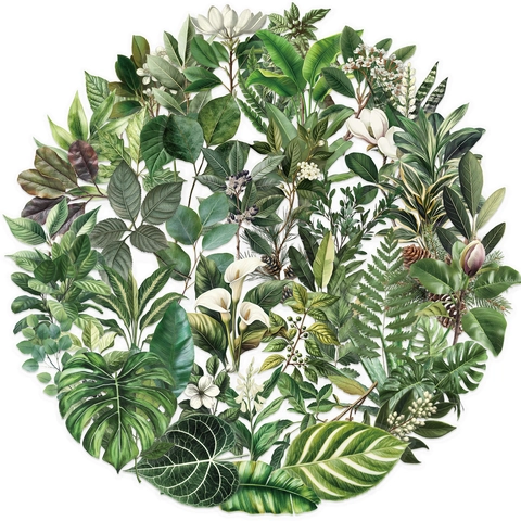 Waterproof Transparent PET Green Leaf Stickers For Scrapbooking Botanical Flower Decals For Laptop Guitar Journal DIY Decorative