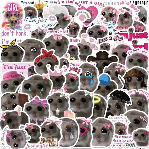 Autocollants Meme Hamster Triste Mignons Variété Décalcomanies en Vinyle Imperméables pour Ordinateur Portable Guitare Bagages Téléphone DIY Graffiti Décoratif Variété