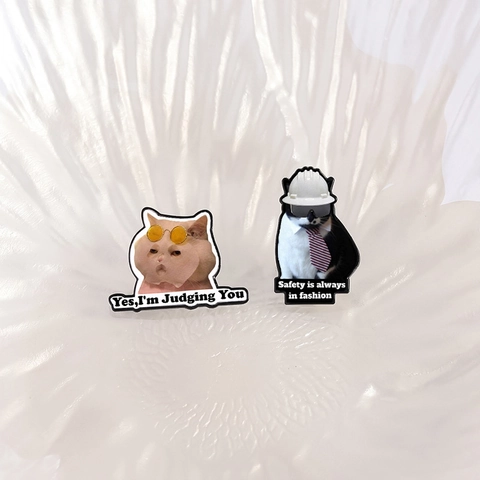 Insignia de Broche de Esmalte de Aleación de Profesión de Médico Enfermero de Gato de Dibujos Animados Divertido Para Decoración de Ropa y Bolsos Joyería de Mapache de Tarot de Animales Lindos