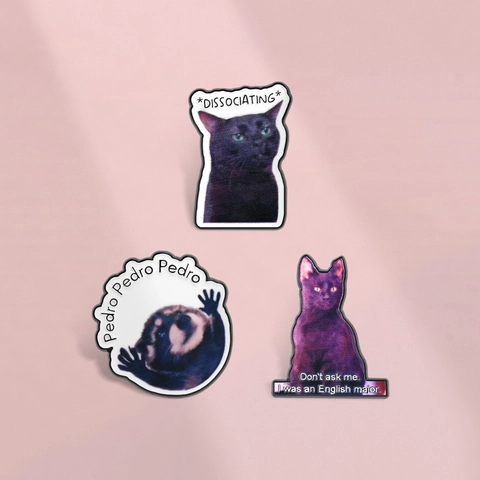 Divertente Spilla in Smalto con Gatto e Procione Meme in Lega di Zinco Distintivo in Metallo Citazione Inglese Spilla per Zaino Vestiti Regalo